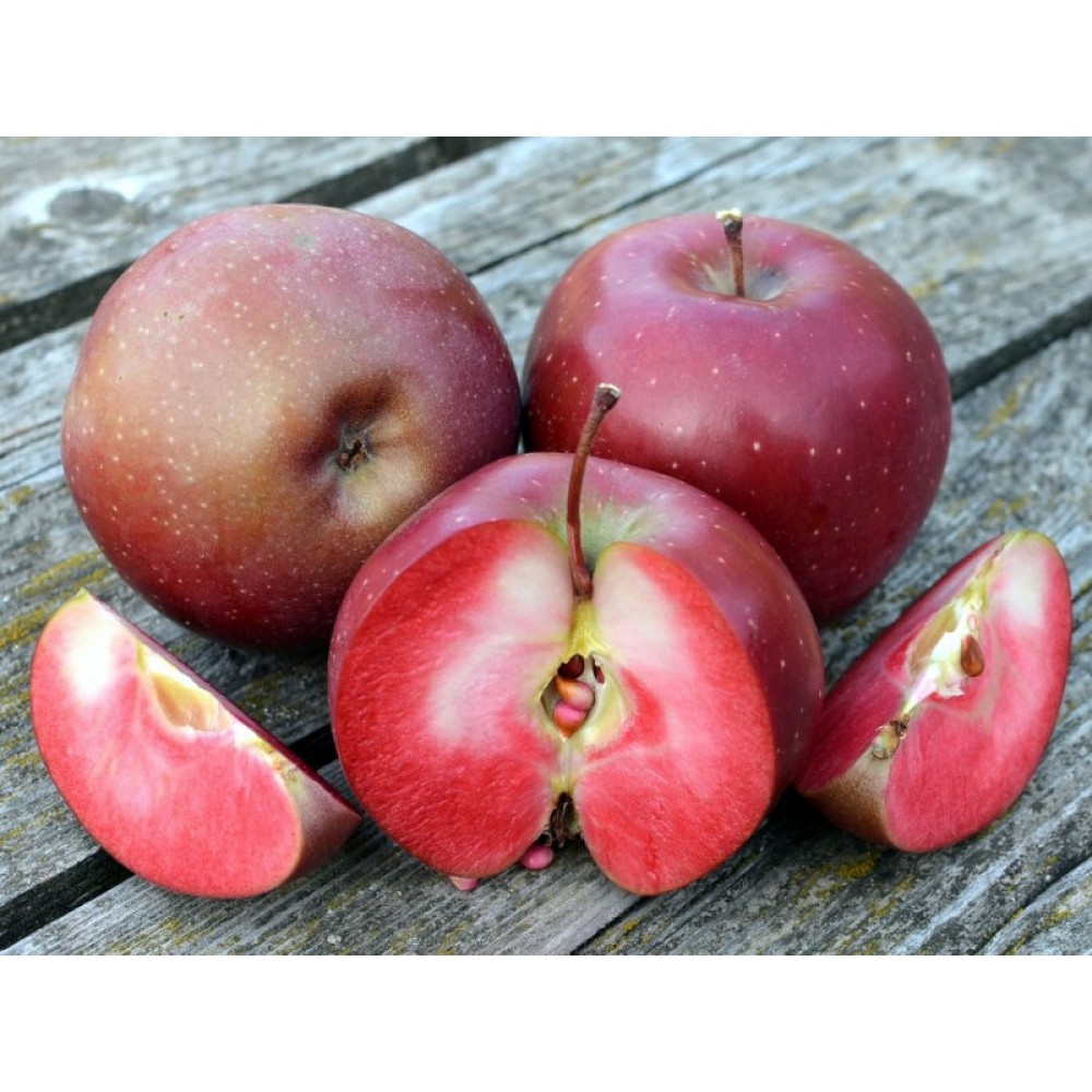 красномясые яблони