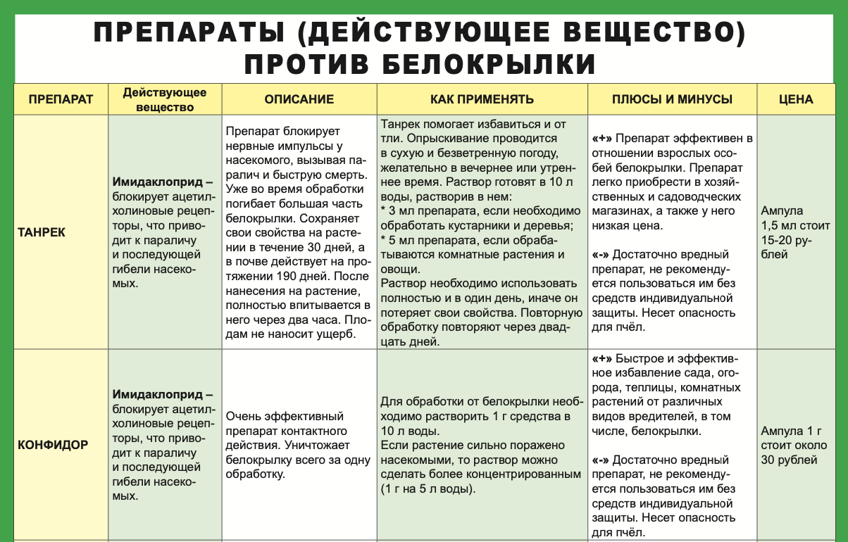 Средство от тли и белокрылки. Лучшипротив белокрылкие средства. Опрыскивание против белокрылки. Против белокрылки в теплице препараты.