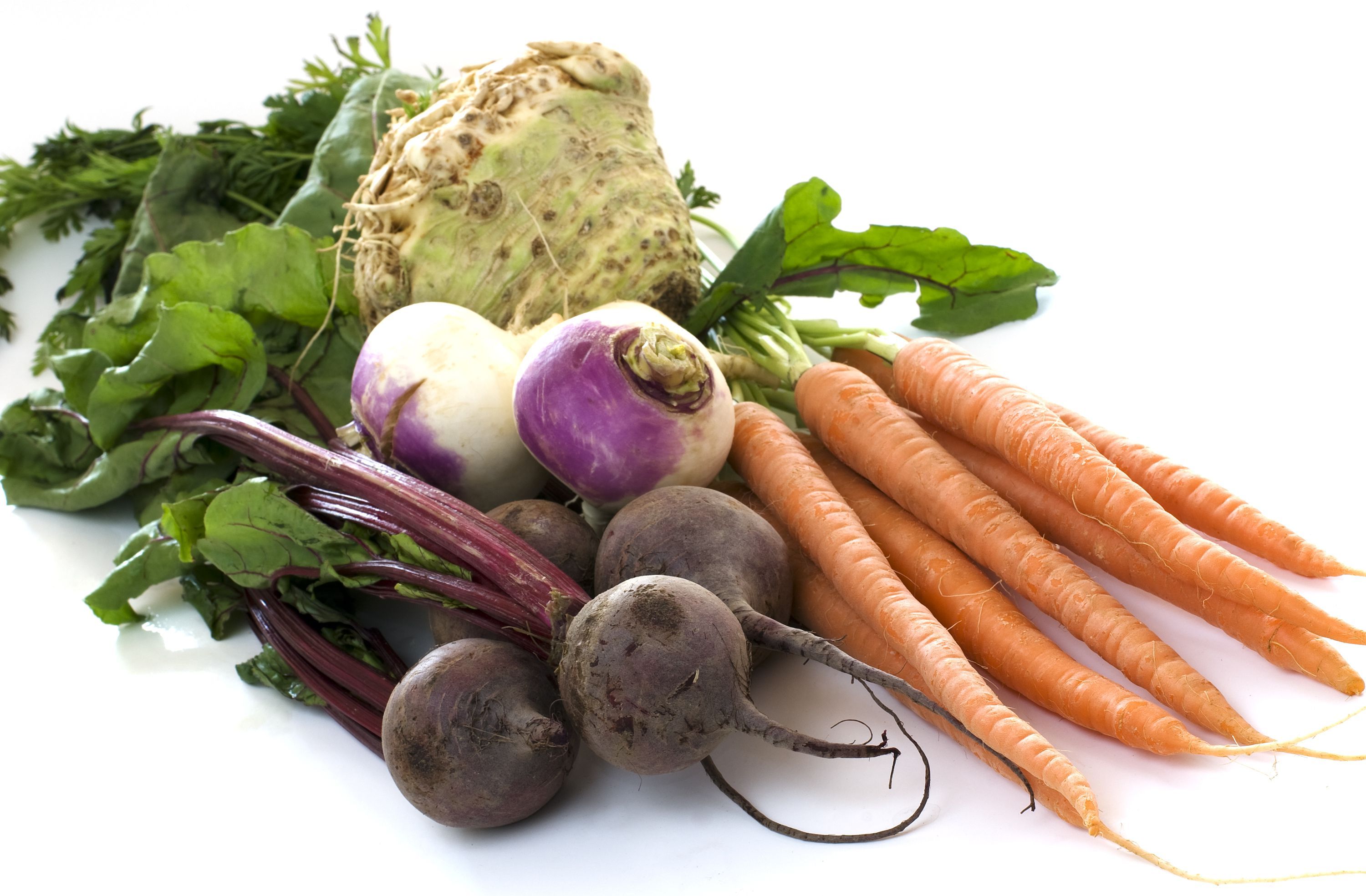 Вегетативные овощи